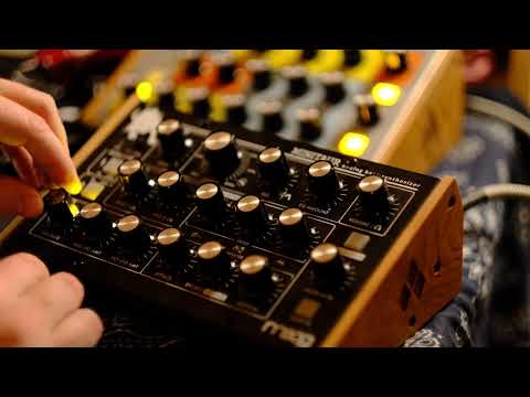 GREEN VALLEY 2022 - Moog Minitaur Analog Bass Monosynth Performance