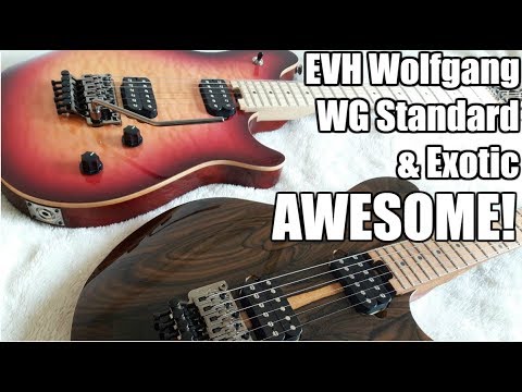 The BRAND NEW EVH Wolfgang WG Standard and Exotic 🎸🎵🎶🔥 FULL REVIEW Amazing Value For Money!