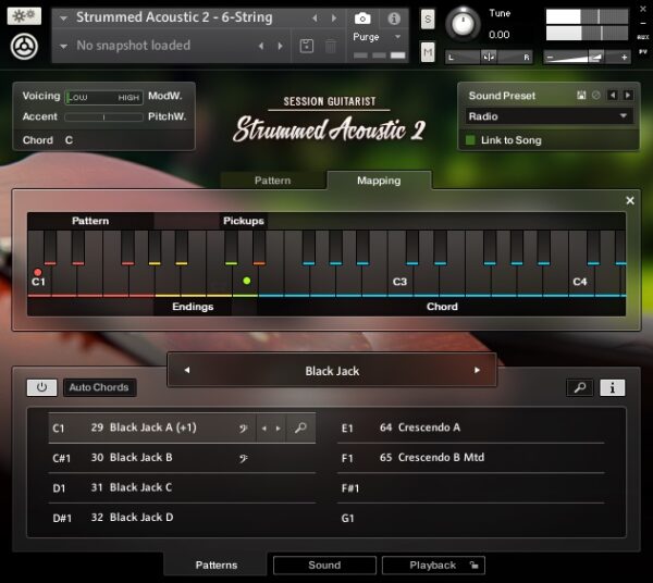 14 Best Plugins For Country Musicians 2024 - 2024 Update