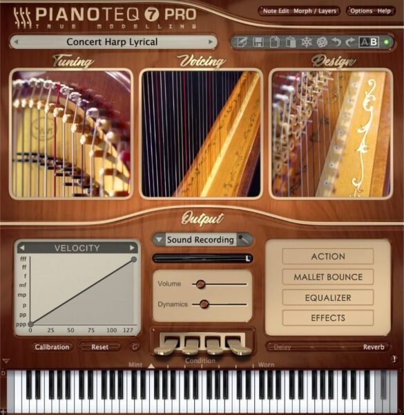 Harp Module Top 11 Harp Plugins 2025 (AND 3 Best FREE Harp Plugins)
