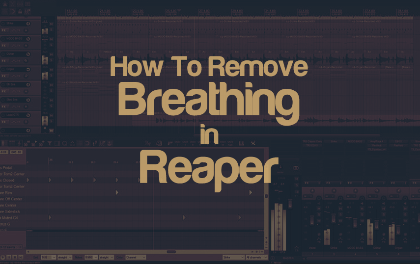 How To Remove Breathing In REAPER? | integraudio.com