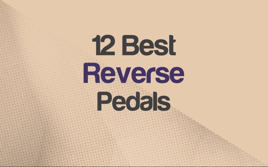 Top 12 Reverse Pedals (Various Types)
