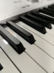 Arturia-Astrolab keys close