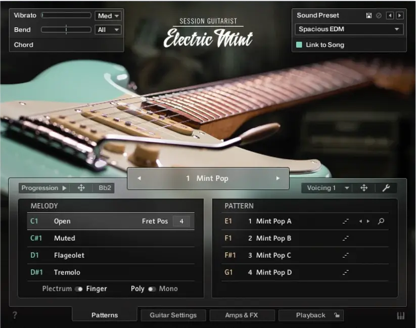 Session Guitarist - Electric Mint
