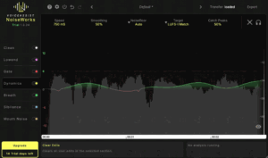 Noiseworks VoiceAssist, Integraudio
